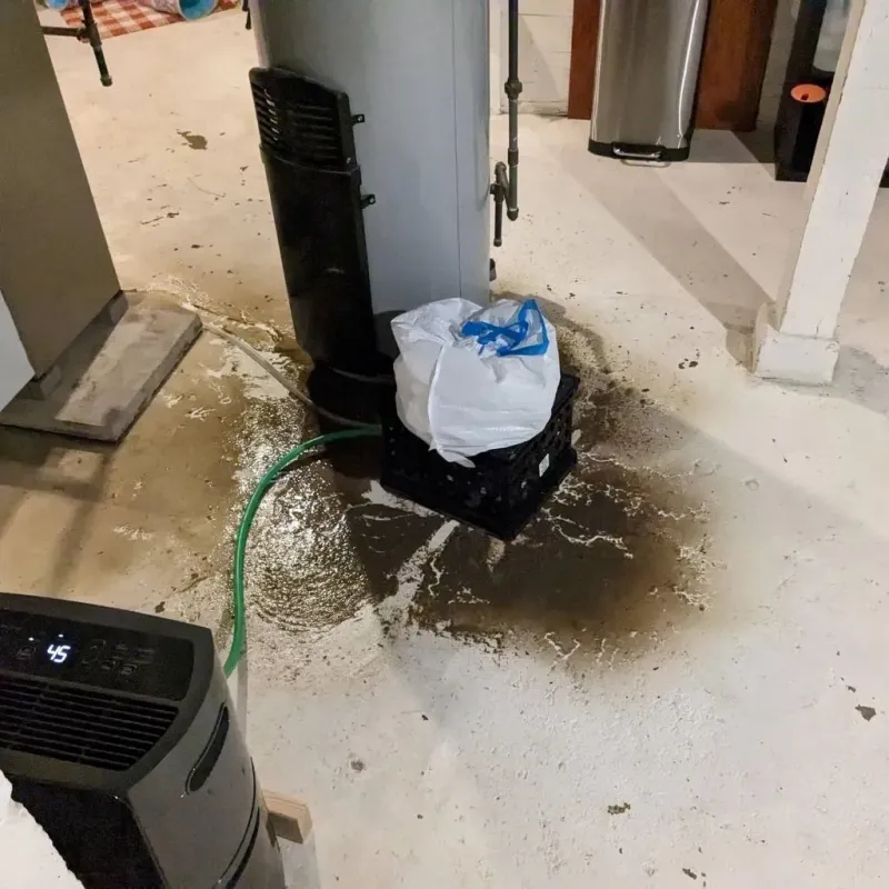 Sewage Backup Cleanup Service in Farmers Loop, AK